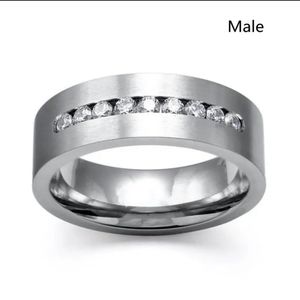 NWOT Men's Titanium Stainless Steel/CZ band